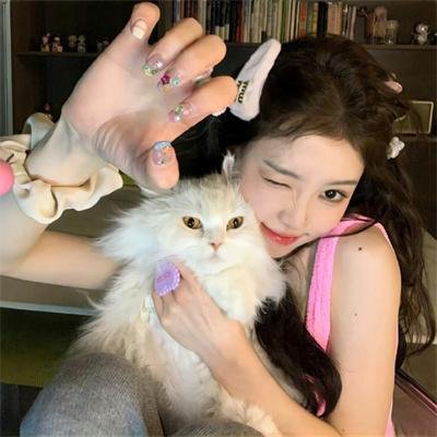 宝可梦：目标是宝可梦大师